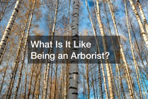 What Is It Like Being an Arborist?