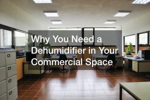Why You Need a Dehumidifier in Your Commercial Space