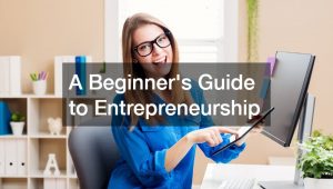 A Beginners Guide to Entrepreneurship